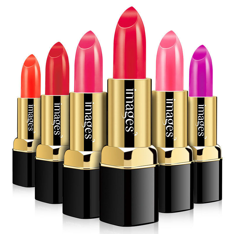 Vibrant Lip Essentials - Luxurious Lipstick Collection