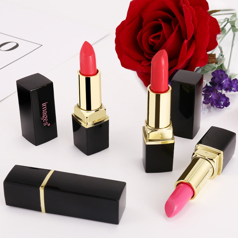 Vibrant Lip Essentials - Luxurious Lipstick Collection